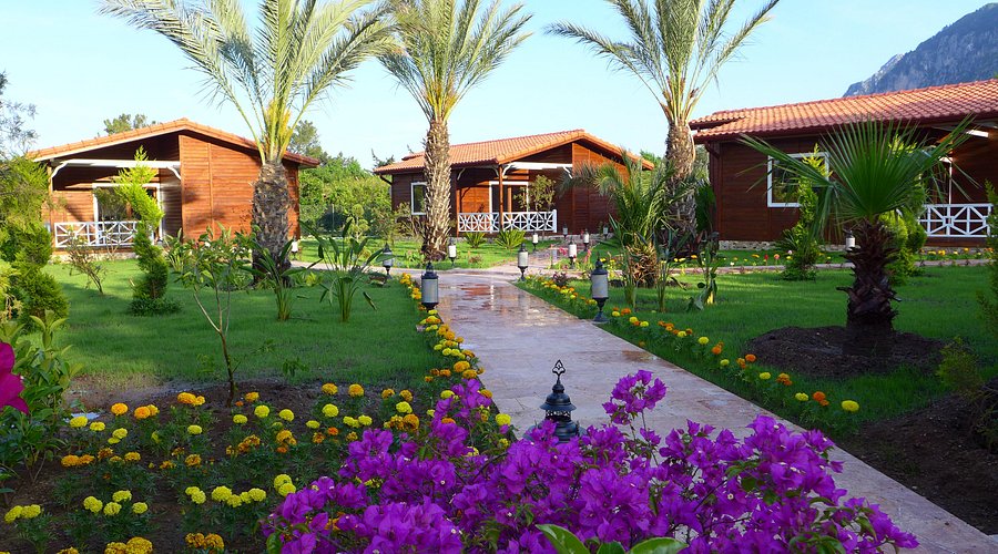 Aida Hotel rent a car