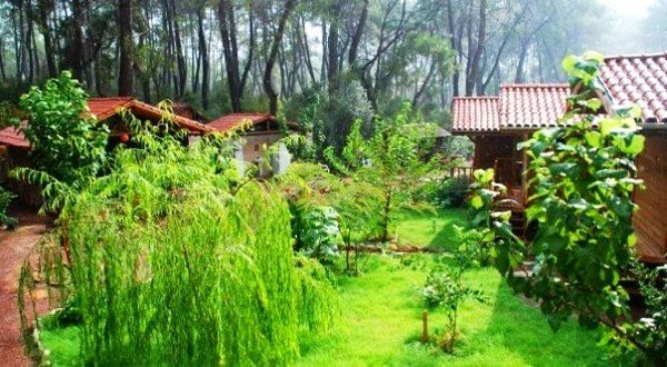 Old White Guesthouse car rental