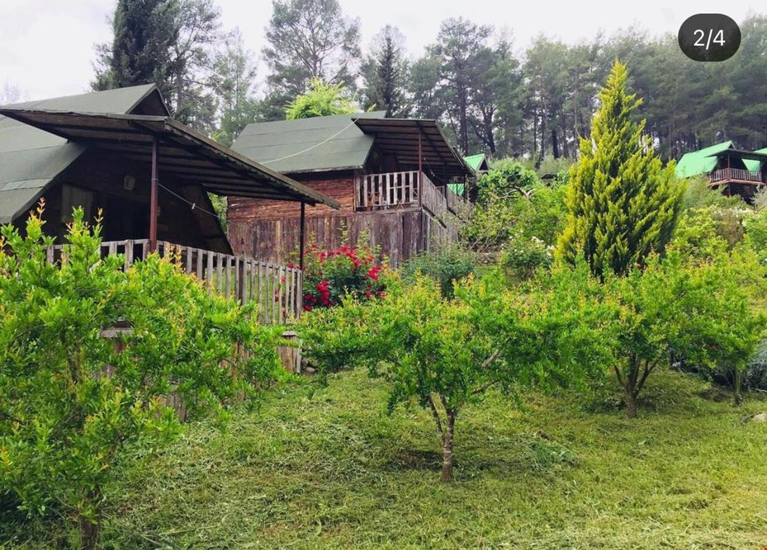 Guesthouse Olympos car rental