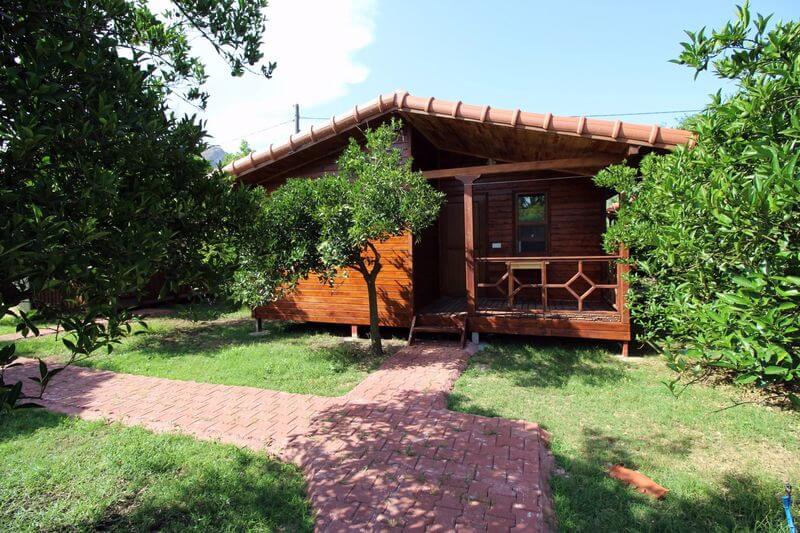 Armina Hotel rent a car