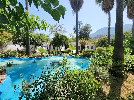 Blue White Hotel rent a car