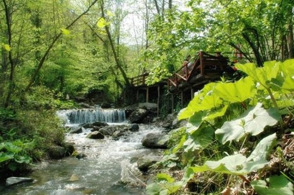 Sakli Bahce rent a car