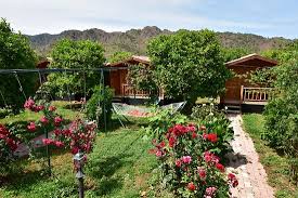 Lemon Garden Lodge rent a car