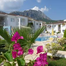 Viking Göynük car rental