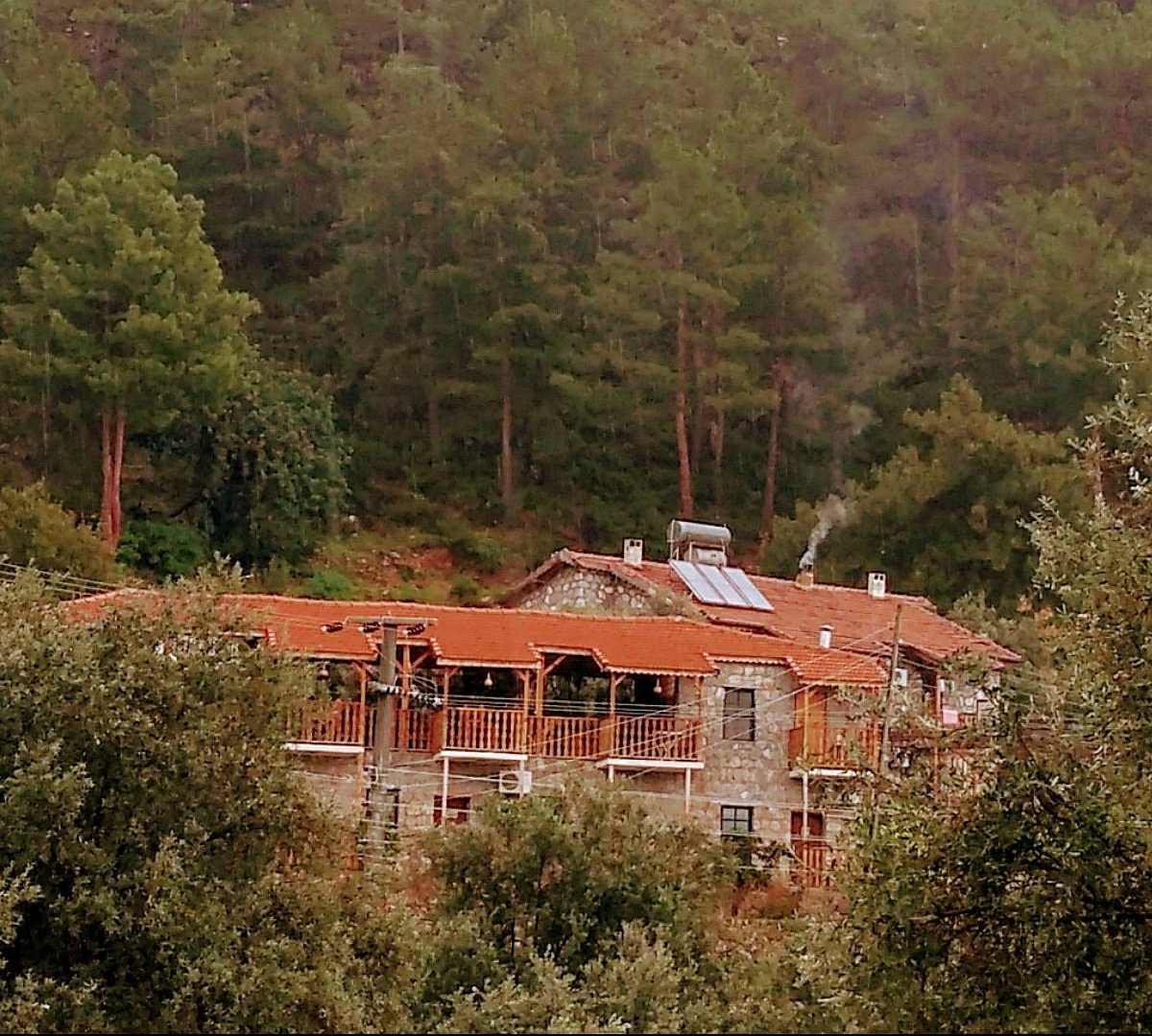 Faralya Punica Hotel rent a car