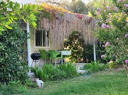 Прокат автомобилей в апарт-отеле Datcamania