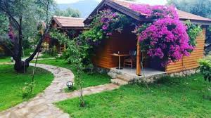 Mihricem Ahşap Evleri araç kiralama