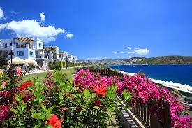 Aktur Residence car rental