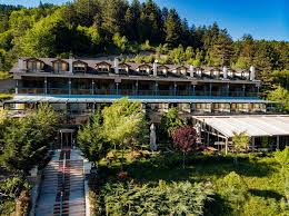 Aden Boutique Hotel car rental