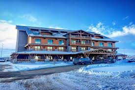 Magna Pivot car rental