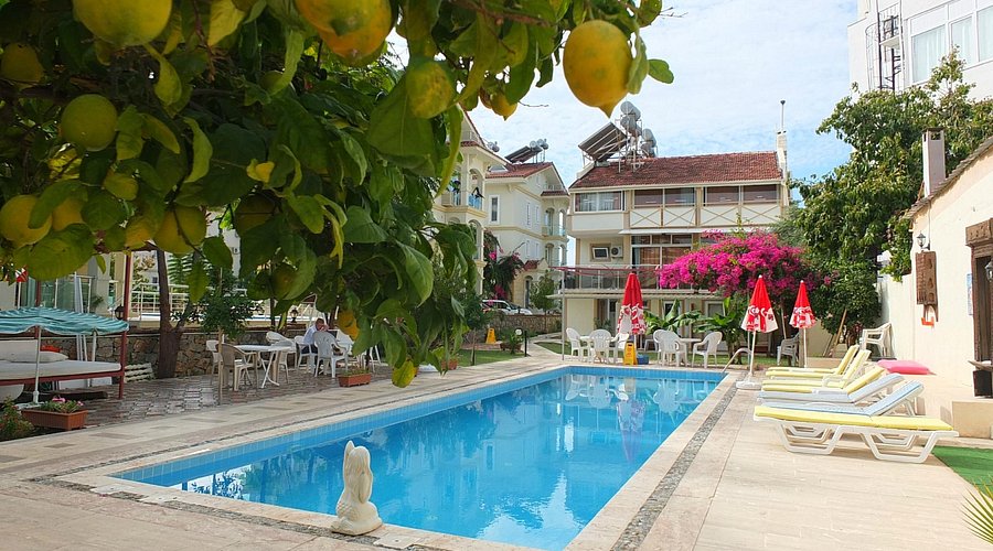 Hotel Villa Berk rent a car