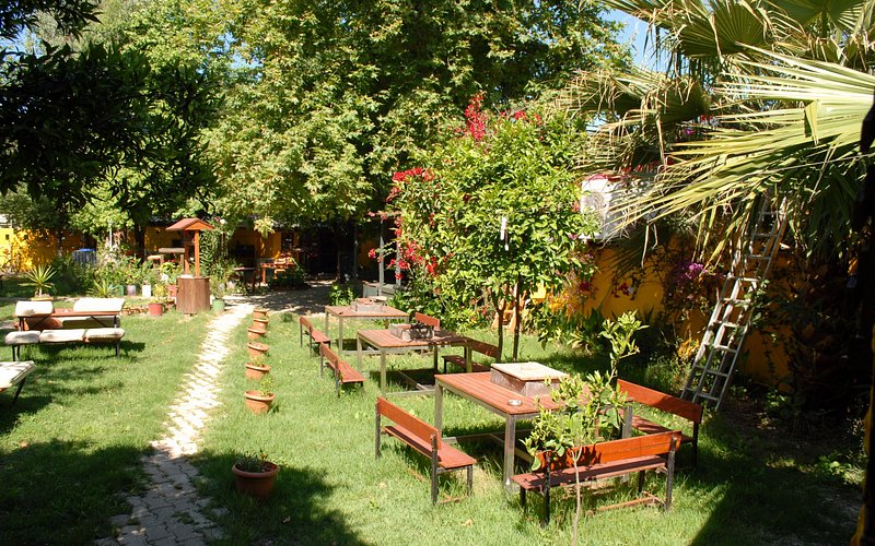 Dalyan Camping rent a car