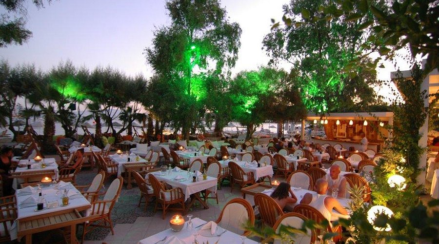 Okaliptus Hotel Bitez rent a car